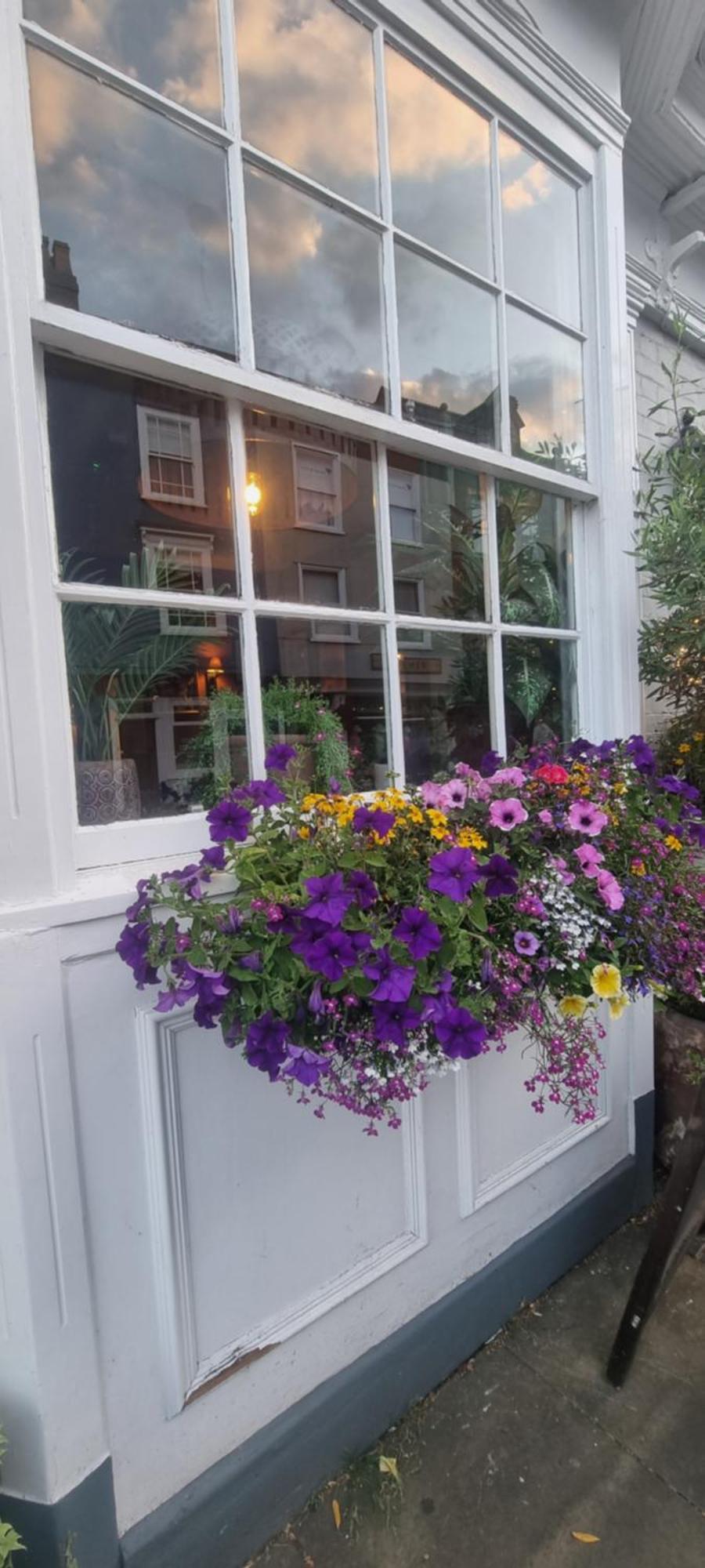 White Horse Bed & Breakfast Maldon Exterior photo