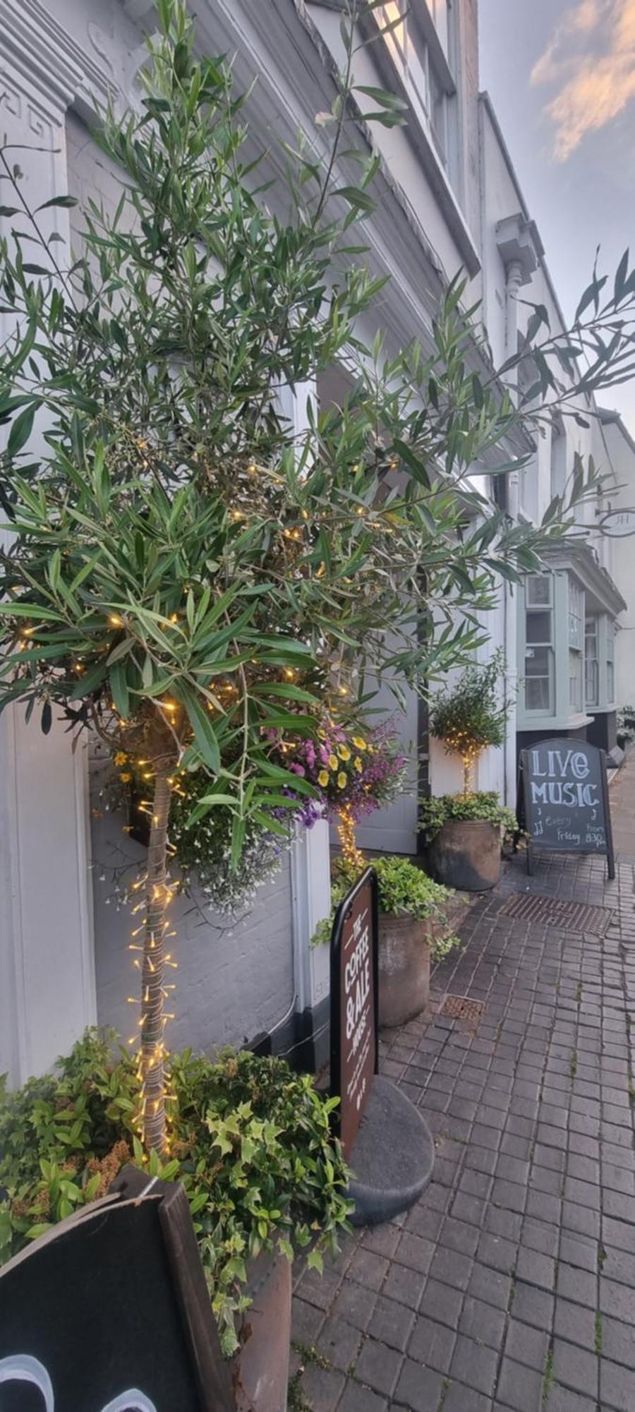 White Horse Bed & Breakfast Maldon Exterior photo